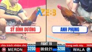 Trận 19 CPC3 26/3/2025 - Điều Anh Phụng Đá 1 Cước Phân Định Thắng Thua