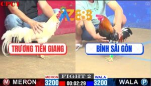 Trận 2 CPC1 1/3/2025 - Gà Anh Bình Sài Gòn Quay Xe Trước Gà Anh Trương