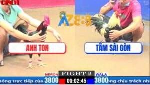 Trận 2 CPC1 18/3/2025 - Anh Tâm Sài Gòn Bị Xử Ép Hay Do Nài Yếu