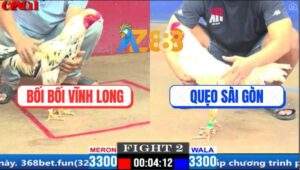 Trận 2 CPC1 20/3/2025 - Gà Bướm Bối Bối Đá Gà Bướm Anh Quẹo Ói Đen Đầu