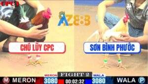 Trận 2 CPC1 22/3/2025 - Bướm Thái Mỹ Đá Bến Thế Hạ Gốc Bự Camphuchia