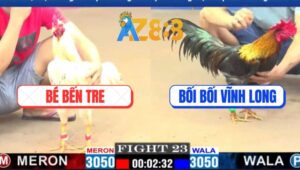 Trận 23 CPC1 3/3/2025 - Anh Bối Bối Hạ Anh Bé Nhanh Gọn