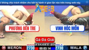 Trận 23 CPC1 6/3/2025 - Gà Anh Phương Siết 1 Tắng Bế Anh Vinh Ra Ngoài