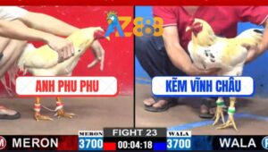 Trận 23 CPC2 2/3/2025 - Gà Úa Anh Phu Phu Có Chân Xạo Lờ