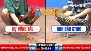 Trận 25 CPC2 30/3/2025 - Gà Cú Anh Bảo Sting Có Chân Xạo Lờ Cứu Chủ