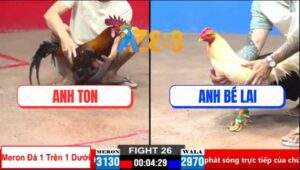 Trận 26 CPC2 28/3/2025 - Úa Chân Cua Anh Bé Lai Đá Điều Bất Tỉnh