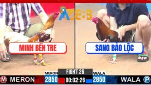 Trận 26 CPC3 3/3/2025 - Camelo Má Minh Tải Cựa Quá Tốt