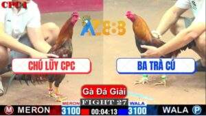 Trận 27 CPC1 22/3/2025 - Gà Chú Lũy Hạ Gà Anh Ba Trà Cú Không Kịp Nhìn