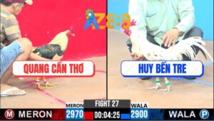 Trận 27 CPC3 5/3/2025 - Gà Bướm Anh Huy Bến Tre Tiễn Đối Thủ Về mau Lẹ