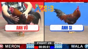 Trận 29 CPC2 5/3/2025 - Điều Cọp Anh Si Kẹp Đúng 1 Chân Lấy Tiền