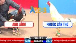 Trận 3 CPC1 21/3/2025 - Anh Bảo Sting Thả Giùm Bị Đá Gãy Giò