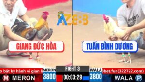 Trận 3 CPC3 15/3/2025 - Gà Xám Anh Giang Đức Hòa Đá Toàn Đầu Cần