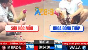 Trận 31 CPC3 13/3/2025 - Khét Bông Anh Khoa Đá Cú Cườm Bại Liệt Tứ Chi