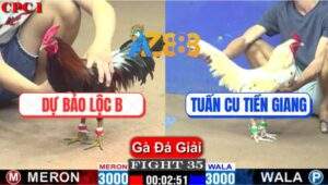 Trận 35 CPC1 22/3/2025 - Anh Tuấn Cú Vô Địch Với 9 Điểm Tuyệt Đối