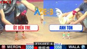 Trận 4 CPC1 22/3/2025 - Điều Cọp Anh Út Bến Tre Dỡ Giò Là Đâm