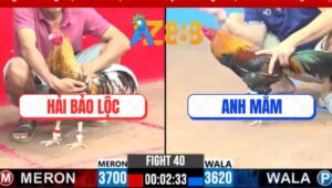 Trận 40 CPC3 3/3/2025 - Má Minh Quá Hừng Phút Cuối Có Chân Xạo Lờ