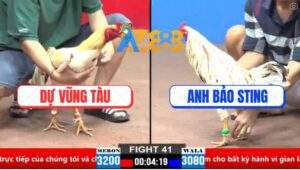 Trận 41 CPC2 30/3/2025 - Anh Dự Đọ Nước Nuôi Với Anh Bảo Sting