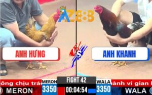Trận 42 CPC3 10/3/2025 - Anh Khanh Nài Gà Phản 5 Lai Đưa Biện Ra Đảo