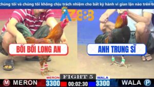 Trận 5 CPC1 6/3/2025 - Anh Trung Sĩ Hạ Anh Bối Bối Trong 1 Nốt Nhạc