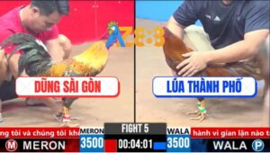 Trận 5 CPC3 13/3/2025 - Anh Dũng Hạ Anh Lúa, Lụm Xổ 200 Ngon Lành