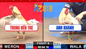 Trận 6 CPC2 12/3/2025 - Gà Cú Anh Trung Đá 3 Chân Đối Thủ Gãy Giò