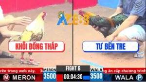 Trận 6 CPC3 27/3/2025 - Khét Sữa Anh Khoa Đồng Tháp Chịu Đòn Cứu Chủ