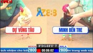 Trận 7 CPC1 27/3/2025 - Gà Anh Dự Đá Quá Đâm, Má Minh Chịu Không Nổi