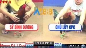 Trận 8 CPC1 22/3/2025 - Gà Chú Lũy Kém 7 Chấm Đâm Bự Tốc Chạy