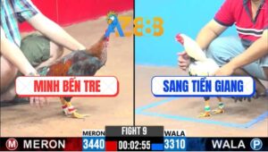 Trận 9 CPC3 5/3/2025 - Chú Tuấn Điện Thả Dùm Má, Xin Đối Thủ Cái Giò