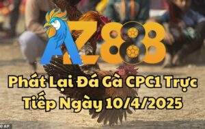 Phát Lại Đá Gà CPC1 Trực Tiếp Ngày 10/04/2025
