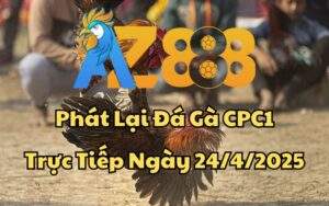 Phát Lại Đá Gà CPC1 Trực Tiếp Ngày 24/04/2025