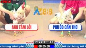 Trận 11 CPC1 3/4/2025 - Gà Bướm Anh Phước Đá Gà Anh Tám Lời Be Miệng