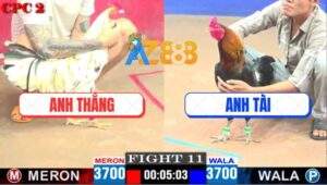 Trận 11 CPC2 30/4/2025 - Bướm Anh Thắng Canh Chặn 2 Chân Điều Gãy Giò