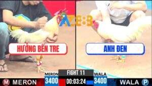 Trận 11 CPC3 9/4/2025 - Anh Hưởng Bến Tre Hạ Anh Đen Chỉ Tay Nước Đầu