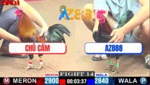 Trận 14 CPC1 12/4/2025 - Điều Mồng Trà Xóm Gà AZ Có Chân Mai Độ Cứu Chủ