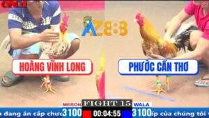 Trận 15 CPC1 3/4/2025 - Gà Bướm Đá Gà Cú Anh Phước Đi Loạng Choạng