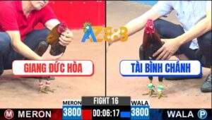 Trận 16 CPC3 22/4/2025 - Khét Chân Xanh Anh Giang Đá 1 Chân Có Kết Quả