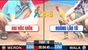 Trận 19 CPC3 30/4/2025 - Má Minh Đang Hừng Thả Giùm, Gà Cú Đâm Là Dính