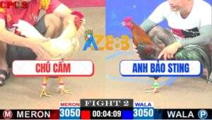 Trận 2 CPC2 18/4/2025 - Anh Tý Chùa Thả Gà Có Chân Xạo Lờ Hạ Chú Cấm