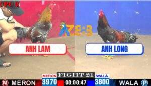 Trận 21 CPC2 13/4/2025 - Anh Long Lần Đầu Chấp Ngông Và Cái Kết