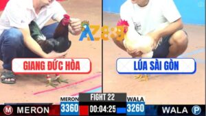 Trận 22 CPC3 26/4/2025 - Điều Xanh Anh Giang Đâm Bại Liệt Gà Anh Lúa