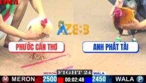 Trận 24 CPC1 14/4/2025 - Gà Bướm Anh Phước Nuốt Ói Đá Đối Thủ Gãy Giò