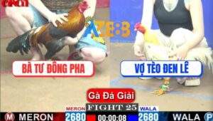 Trận 25 CPC1 10/4/2025 - Bà Tư Đông Pha Gặp Vợ Tèo Đen Lê