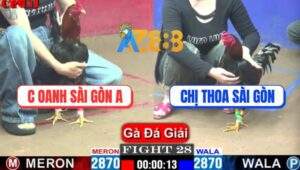 Trận 28 CPC1 10/4/2025 - Chị Oanh Sài Gòn A Gặp Chị Thoa Sài Gòn