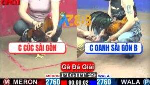 Trận 29 CPC1 10/4/2025 - Chị Cúc Sài Gòn Gặp Chị Oanh Sài Gòn B