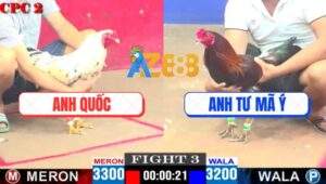 Trận 3 CPC2 16/4/2025 - Bướm Anh Quốc Tiễn Điều Anh Tư Mã Ý Lên Đường