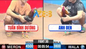 Trận 30 CPC3 26/4/2025 - Điều Cọp Anh Đen Kém 7 Chấm Hạ Bự Nhanh Chóng