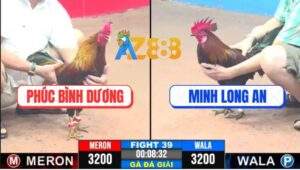 Trận 39 CPC3 22/4/2025 - Gà Điều Chú Phúc Canh Chặn Mấy Chân Có 3 Điểm