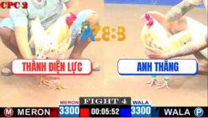 Trận 4 CPC2 30/4/2025 - Gà Bướm Anh Thành Buông Đuôi 1 Sút Tính Tiền