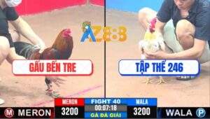 Trận 40 CPC3 22/4/2025 - Gà Bướm Của Tập Thể 246 Nhấc Chân Là Có Cựa